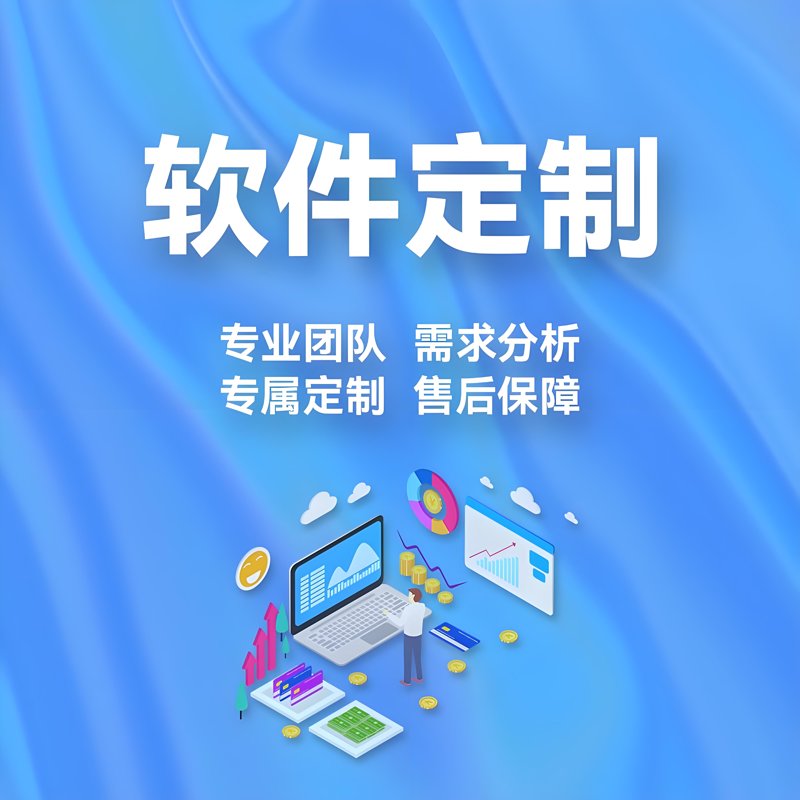 定制开发:打造企业专属利器